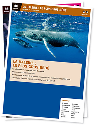 3e00aa6d-6f3d-469d-81fa-04a3421705d7_LWBThème1_400