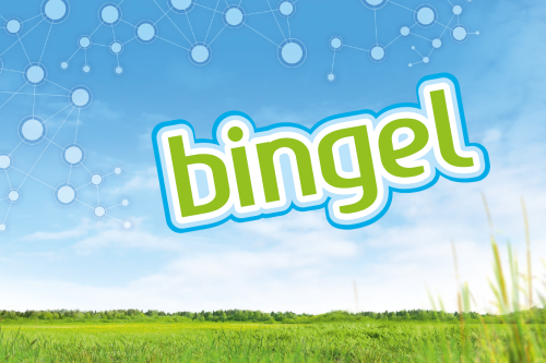 694e780a-8a70-4f6c-96e1-d0f4d713dd8a_Bingel_500