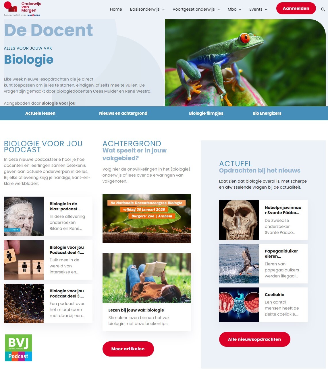 BVJ OVM