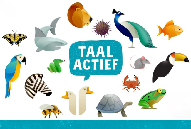 Taal-actief-spelling-headerbeeld-650x440