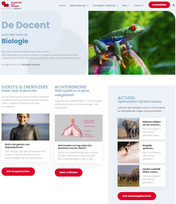 cafb352a-c142-49ff-86ca-4d9dfa57b6d1_de docent bvj