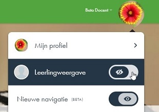e9f248e9-aa27-470a-8be4-177863a4b3d6_Leerlingweergave 310x220